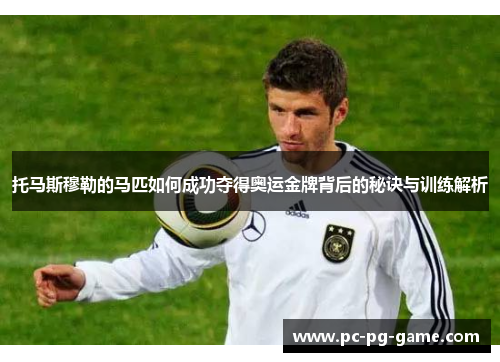 托马斯穆勒的马匹如何成功夺得奥运金牌背后的秘诀与训练解析