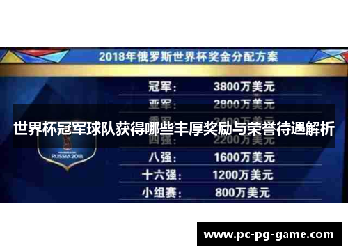 世界杯冠军球队获得哪些丰厚奖励与荣誉待遇解析