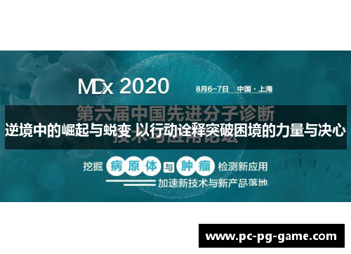 逆境中的崛起与蜕变 以行动诠释突破困境的力量与决心