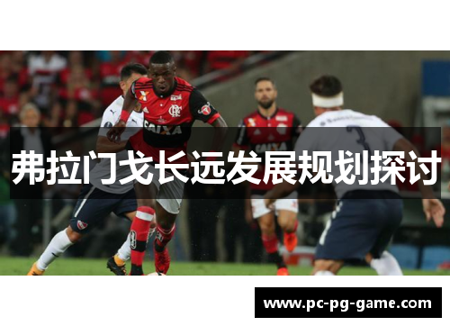 弗拉门戈长远发展规划探讨