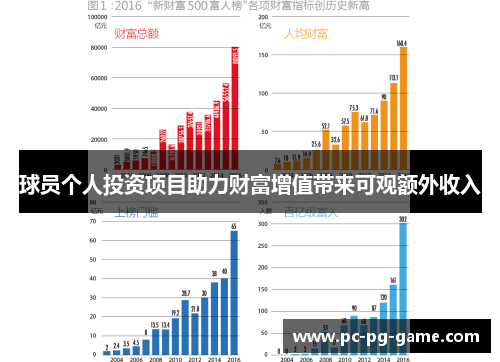 球员个人投资项目助力财富增值带来可观额外收入