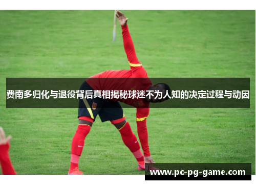 费南多归化与退役背后真相揭秘球迷不为人知的决定过程与动因