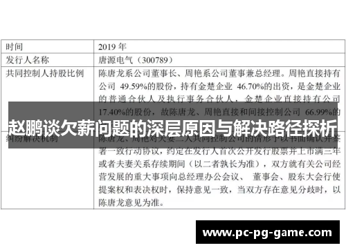 赵鹏谈欠薪问题的深层原因与解决路径探析