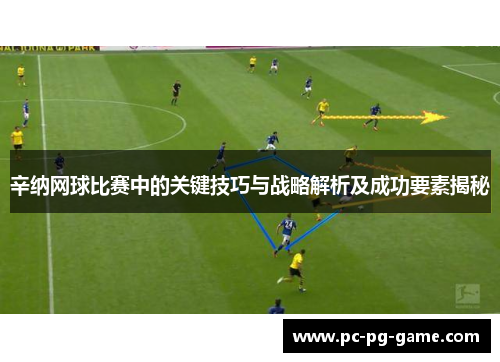 辛纳网球比赛中的关键技巧与战略解析及成功要素揭秘